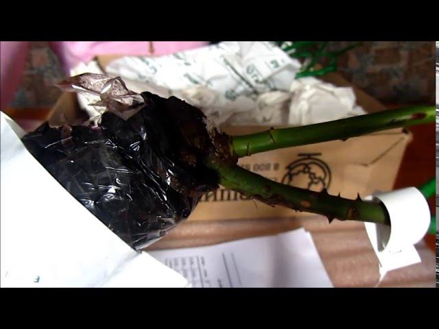 Заказ с Гаршинки. Полное разочарование! смотреть онлайн