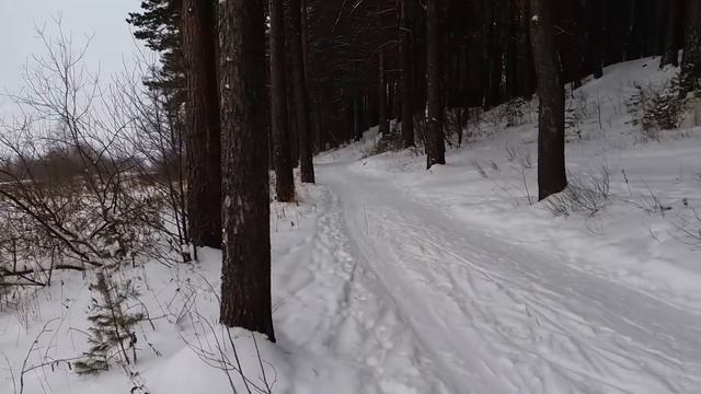 Тропа здоровья, Пермь, микрорайон Новый Крым смотреть онлайн