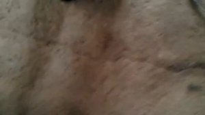 Сварка полуавтоматом АРИА260 тонкостенной трубы