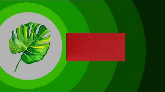 зелёный анонс качели (пустое оформлее) зима,весна 2023
