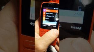 Мобильный телефон NOKIA 210 Dual Sim