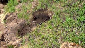 Выезд на коп, в  село Николаевка Амурской области