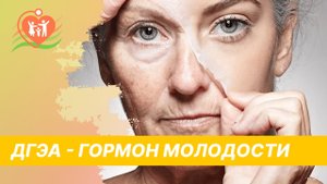 ? ДГЭА - гормон молодости. Дегидроэпиандростерон