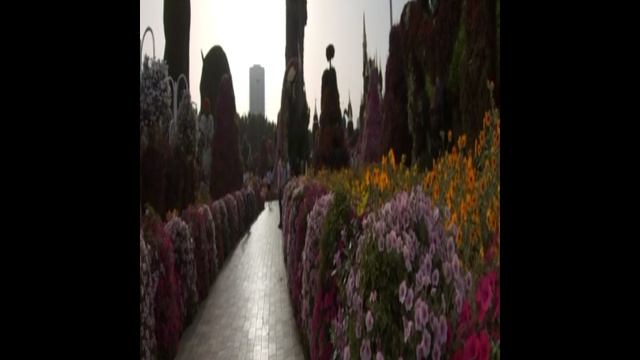 Прогулка по парку цветов. Дубай 2022