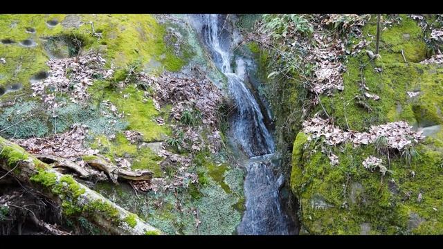 Горячий ключ - Дантово ущелье, скала Петушок (февраль 2023) смотреть онлайн