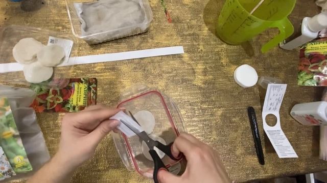 Проращивание и замачивание семян перед посадкой.
