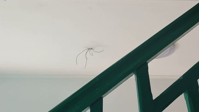 Установка датчика движения ДД 025(027) смотреть онлайн