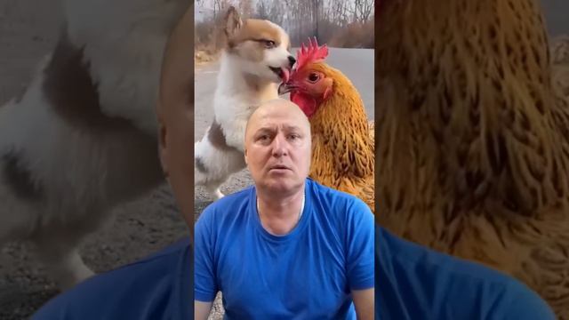 Анекдот про Шарика 🤣🤣🤣🤣🤣🤣🤣