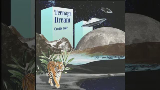 Teenage Dream  Album By Curtis Cole