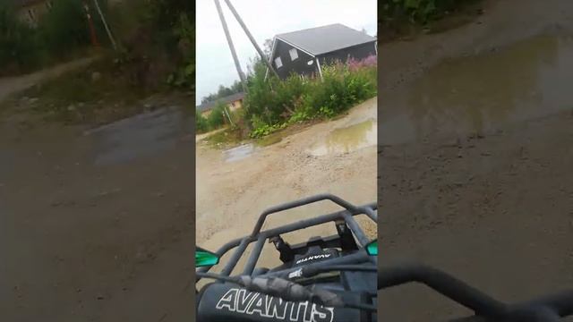 avantis хантер 125 2019 года смотреть онлайн