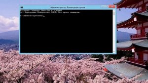 Обновление Bios с испорченным аккамулятором(Ноутбуки)