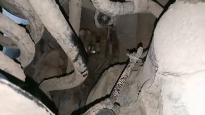Fortuner 2020❌Не "Тянет"?Замена бензонасоса,снимаем бак.??