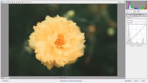 Film & Flower Photoshop CC Tutorials 165 By Stopbox [Photoshop CC,Adobe Camera RAW]