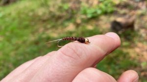 ⚠️ РЫБАЛКА в ГОРАХ! Дикая форель, красоты природы! Путешествия!