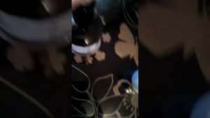 Как сделать молочный коктейль, из двух ингредиентов ???