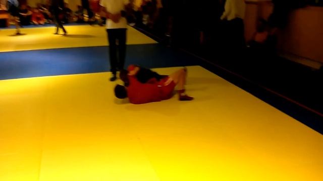 Соревнования по самбо в Нахабино 2017 год клуб им. Глориозова Е.Л смотреть онлайн