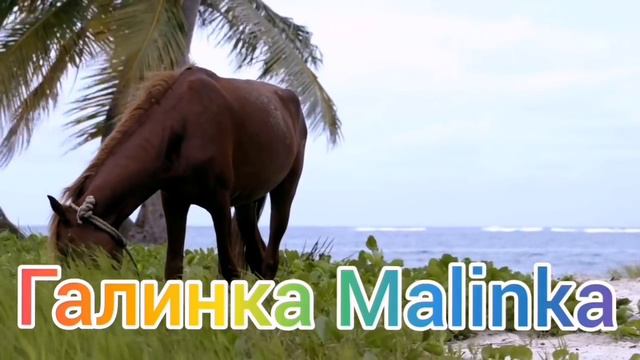 Колесниковы /Два дебила - это Сила /Обзор Влогов /Обзор / смотреть онлайн