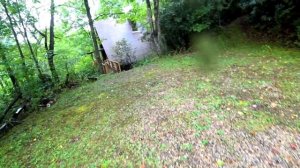 Купил дом в Америке | Дом с аукциона в США | Первые движения в этом доме.  Дом в лесу и горах.