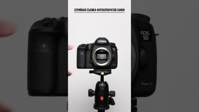 Серийная съемка фотоаппаратов Canon #canon #asmr #shutter #photography