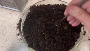 Термообработка грунта для рассады в микроволновке.