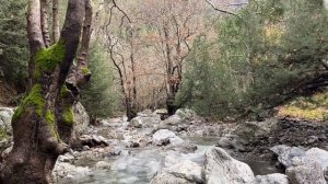 Agia Irini Gorge Trip