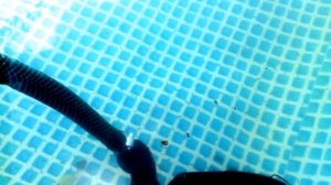 Погружной насос для откачки воды из бассейна на даче (quattro elementi drenaggio 550 f)