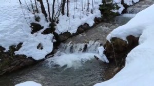 в гостях у сказки