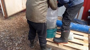 упаковка пеляди для перевозки