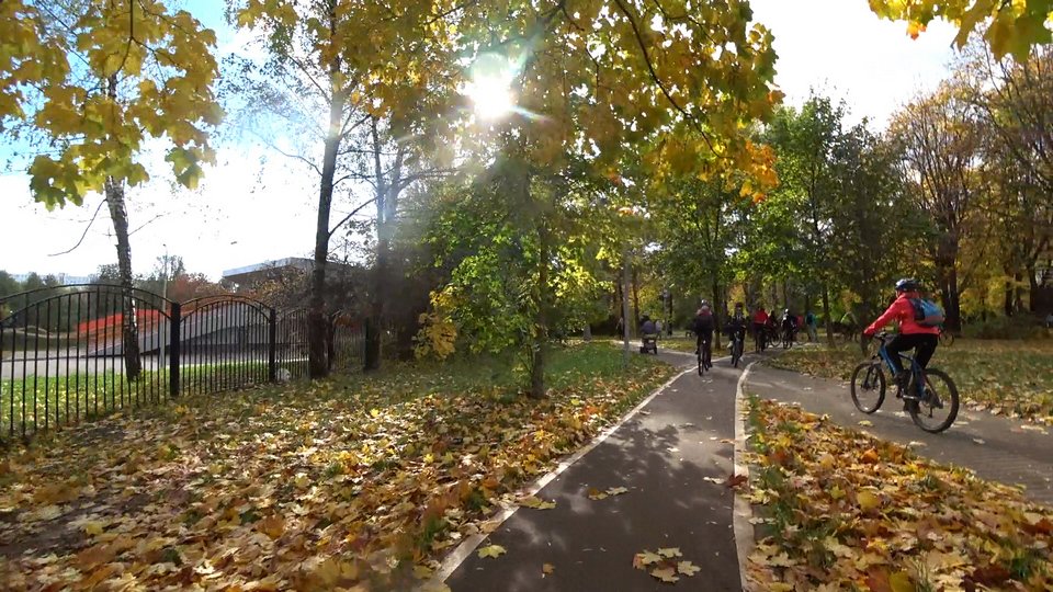 Кленовая