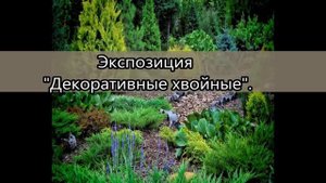 Онлайн-экскурсия по Горно-Алтайскому ботаническому саду. Республика Алтай. Горный Алтай.