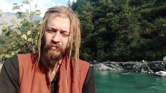 Держи Корни в чистоте! Чистое питание для Тела и Ума/Древо Жизни - Тело.