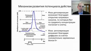 2  Общая психофармакология