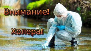 Внимание! Холера!
