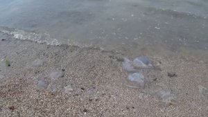 ПЛЯЖ В ГЕНИЧЕСКЕ ! АЗОВСКОЕ МОРЕ 2019