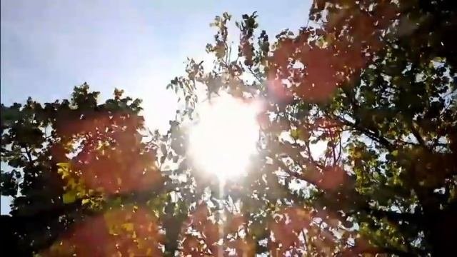 УЧИСЬ ЛЮДЕЙ ЛЮБИТЬ