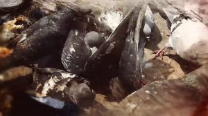 Ритуал для привлечения клиентов.  Заговор чтобы от покупателей отбоя не было..