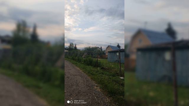 дача моего друга смотреть онлайн