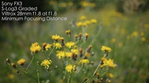 Viltrox 28mm f1.8 Обзор