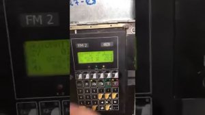 Листогиб Фасти (мини)