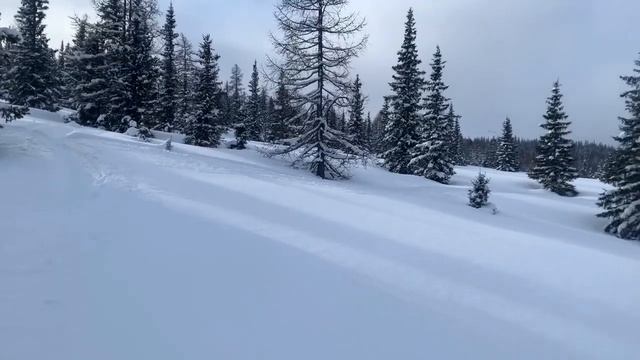 Саранпауль 2020 смотреть онлайн