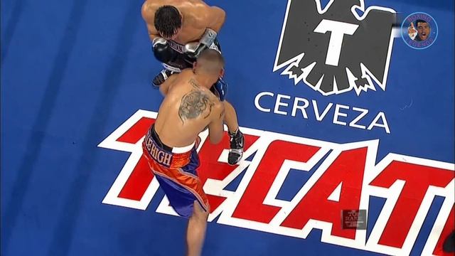 Ruslan Provodnikov vs Mike Alvarado (Highlights) 4K смотреть онлайн