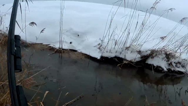 ОХОТА НА ЗАЙЦА ПО СНЕГУ. ОХОТА НА ЛИС смотреть онлайн
