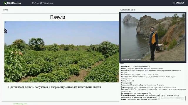 Свойства биоценозов. Практикум блока Жизненная сила РИ смотреть онлайн