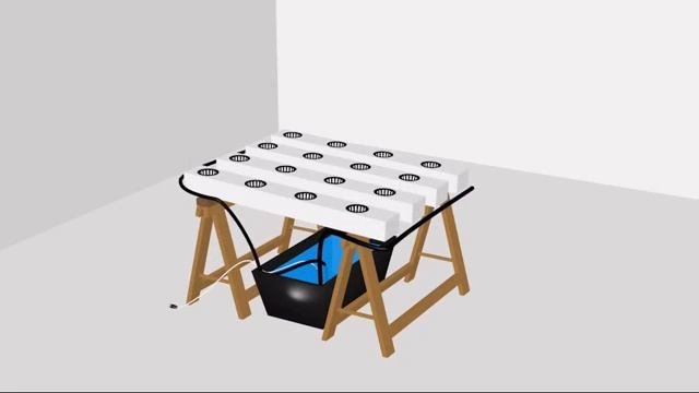 Гидропоника: техника питательного слоя. Hydroponics NFT System