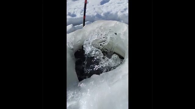 #24декабря #воздухрыбам #дача #дачазагородом #воданадаче