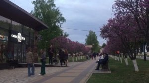 Станица Ленинградская, Россия, часть II;  The village Leningradskaya, Russia, Parte II