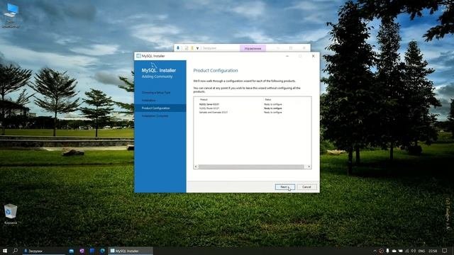Как установить MySQL на Windows