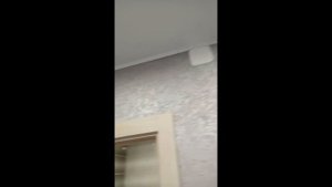 Декоративная штукатурка с эффектом "короед" и лессировкой перламутром.