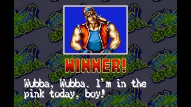 Fatal Fury Special (SNES) : Terry Walkthrough смотреть онлайн