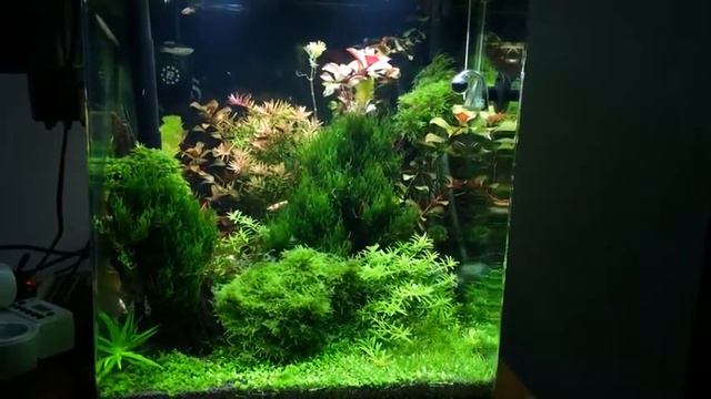 Утренний гон смотреть онлайн